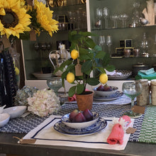 Load image into Gallery viewer, Lemon Tree in clay pot
