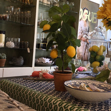 Load image into Gallery viewer, Lemon Tree in clay pot
